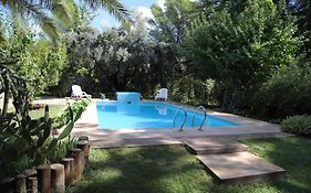 Escapada Exclusiva en Finca con Viñedos y Olivares Relájate en la Naturaleza con Confort y Encanto